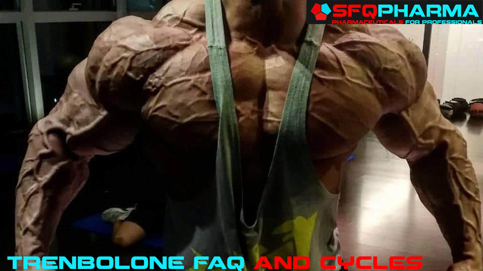 Trenbolone Cycle, Dosage & Side Effects-How to Gain Muscle Fast